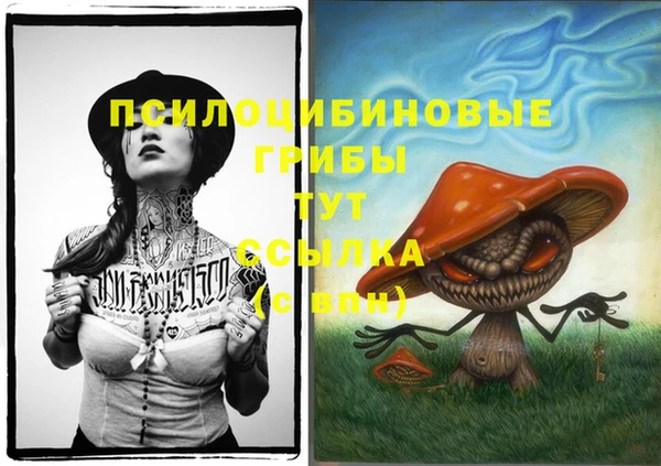 СК Михайловка