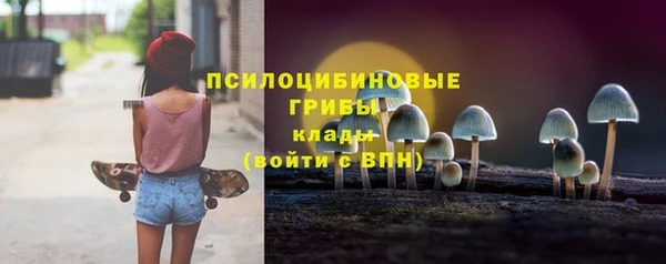 хмурый Михайловск