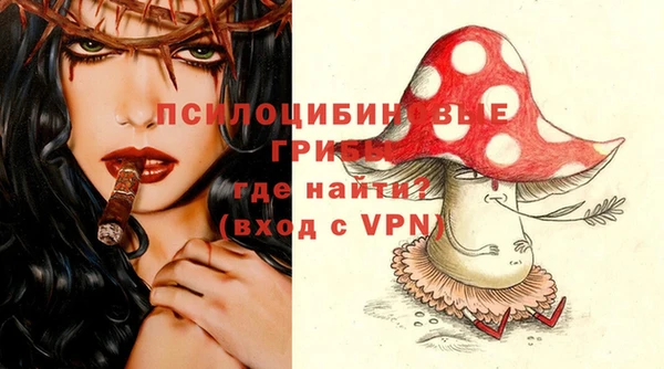 хмурый Михайловск