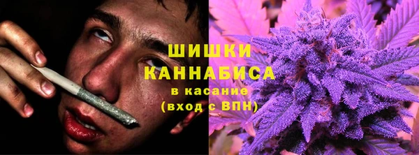 хмурый Михайловск