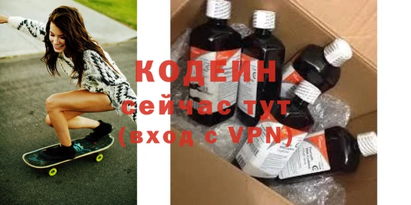 хмурый Михайловск