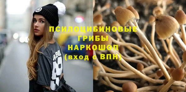 героин Михайлов