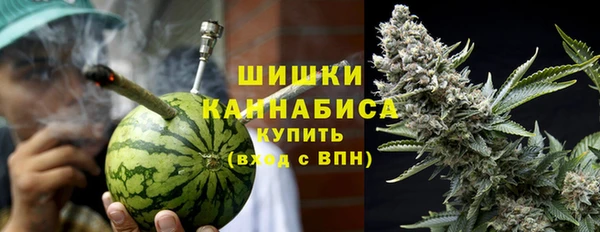 хмурый Михайловск